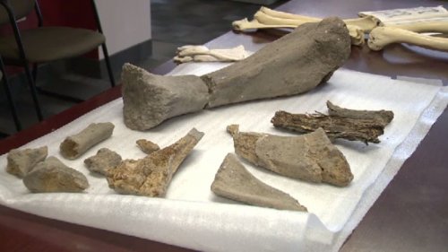 Археологи обнаружили следы древних американцев