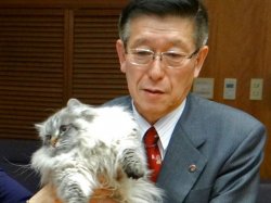 Губернатор из Японии рассказал о судьбе кота, подаренного Путиным