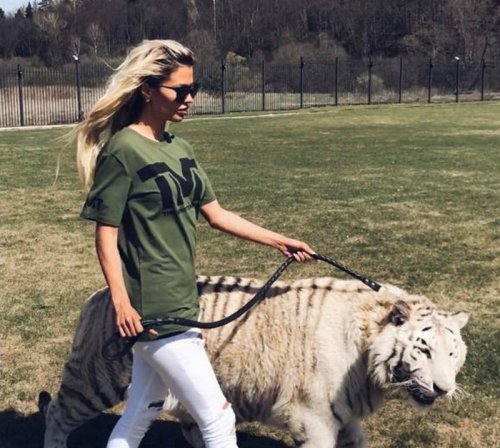 Виктория Боня выгуляла в парке амурского тигра