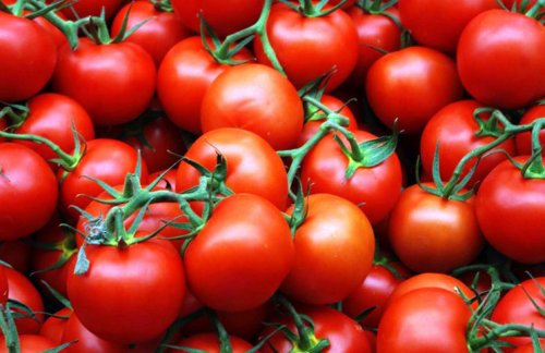 Ученые: Экстракт томата предотвращает развитие рака желудка