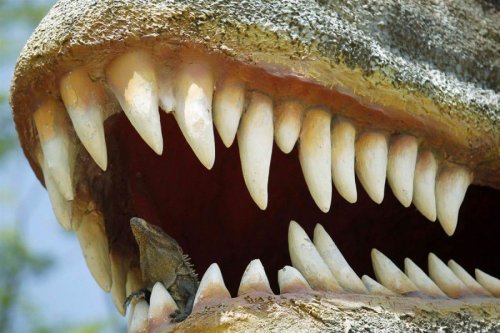 Найденный учеными зуб динозавра заставил мир поменять представления о прошлом планеты