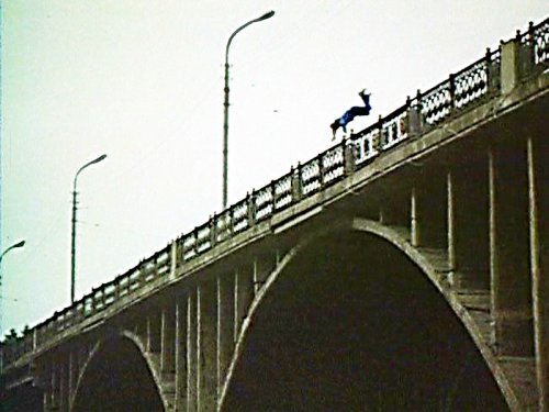 В Череповце мужчина упал с Октябрьского моста