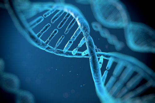 Учёные: Гены могут защитить человека от отравления мышьяком