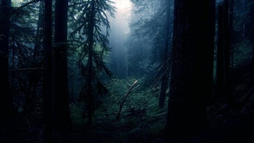 Уфологи обнаружили еще один снимок призрака в Рэндлшемском лесу