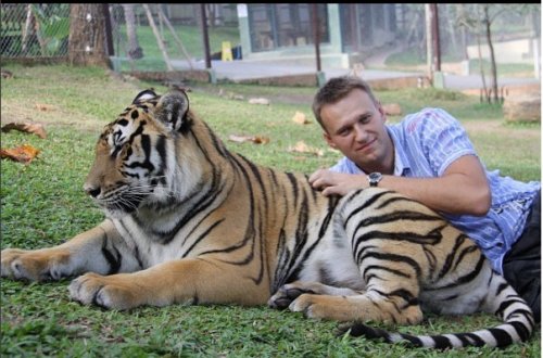 Алексею Навальному предложили брать тигра на дебаты