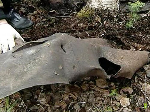 Под Севастополем студенты нашли фрагменты самолета времен Второй мировой войны