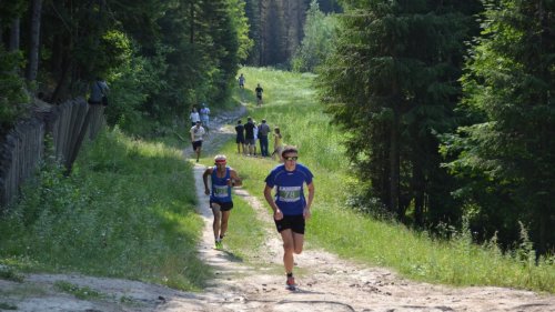 Год здоровья в Югре и 250 участников забега Wood Trail