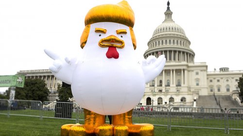 У Белого дома  появился гигантский цыпленок-Трамп