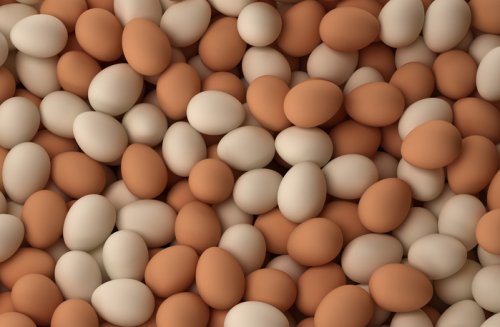 В Испании обнаружены куриные яйца с фипронилом