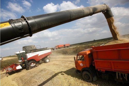 В Ростовской области собрали рекордный урожай зерна