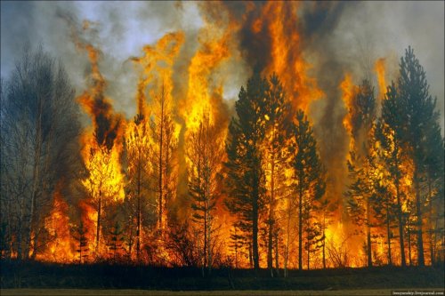 Пожар в Ростовской области охватил более чем 3,3 гектара