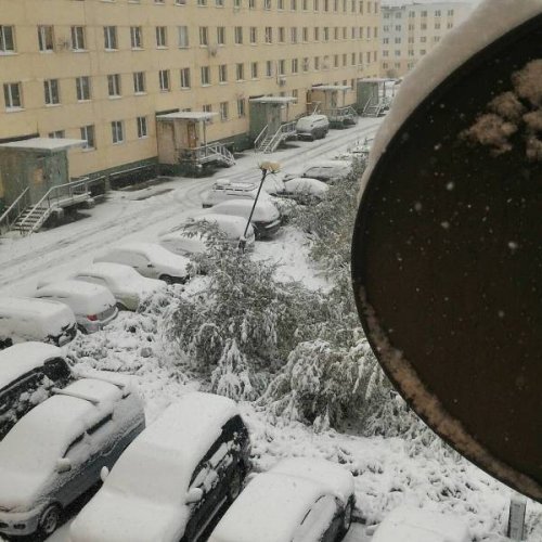 Якутию в конце августа накрыл снегопад