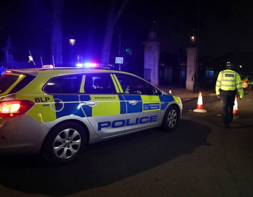 Задержали второго подозреваемого в нападении на полицейских в Лондоне