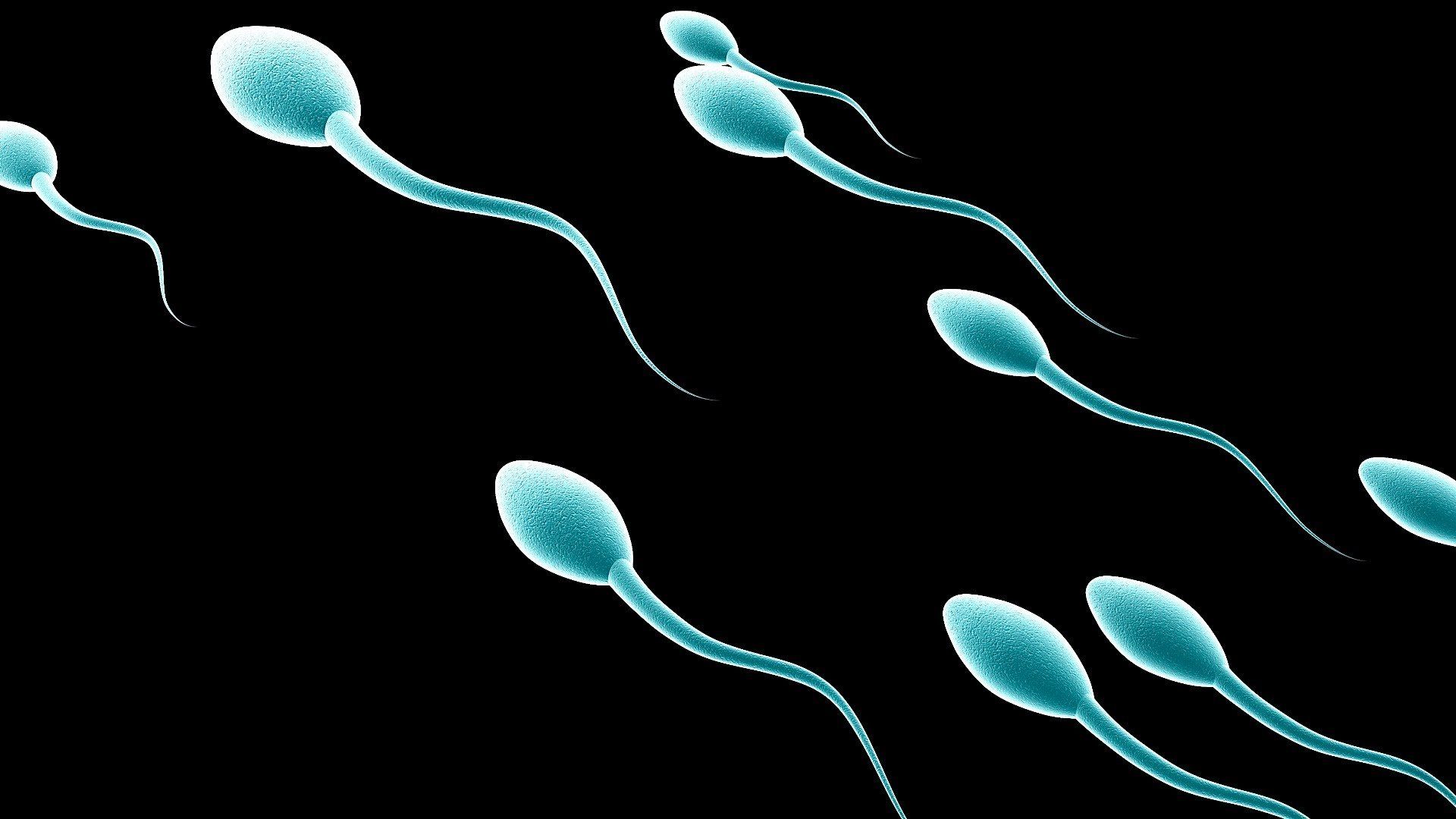 выработка организмом спермы фото 78