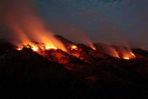 В Лос-Анджелесе ввели режим ЧС из-за лесных пожаров