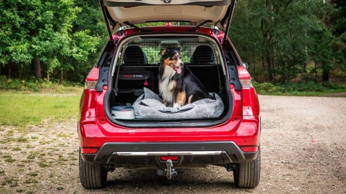 Nissan X-Trail 2018 получает набор опций для перевозки собак
