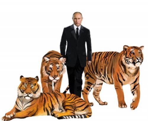 Президент Южной Кореи сравнил дух Путина с амурским тигром