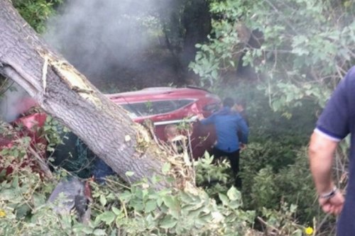 В Новосибирске автоледи снесла дерево и улетела в кювет