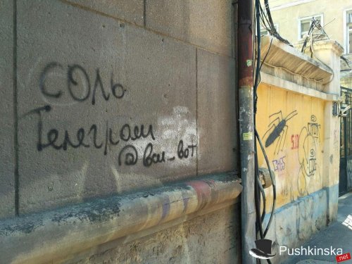 Автор граффити с рекламой наркотиков задержан в Пскове