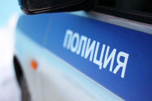В Ленинградской области мужчина с психическими расстройствами изнасиловал 12-летнего ребенка
