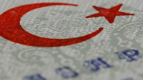 Посол США назвал условия  возобновления выдачи виз гражданам Турции