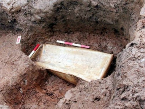 Тело закопанной в лесополосе 3-летней малышки нашли в Ростовской области