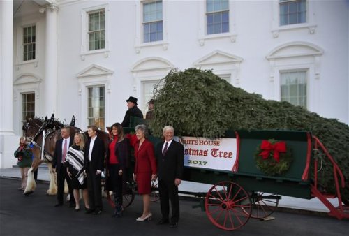 Меланья Трамп вместе с сыном встретили повозку с рождественской елкой во дворе Белого Дома