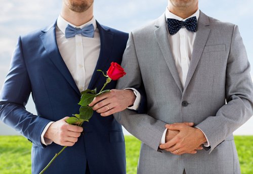 Конституционный суд Австрии узаконил однополые браки