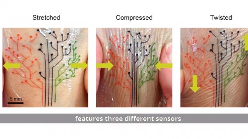 Ученые разработали «живую татуировку» из бактерий