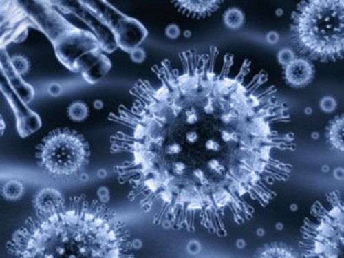 60 студентов Университета Северной Каролины заболели кишечным гриппом