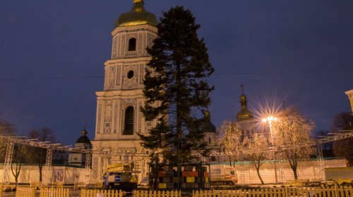 В соцсетях смеются над «лысой» елкой в центре Киева
