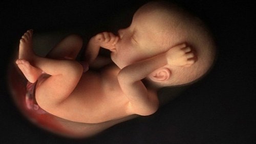 В Америке родился ребенок из замороженного 24 года назад эмбриона