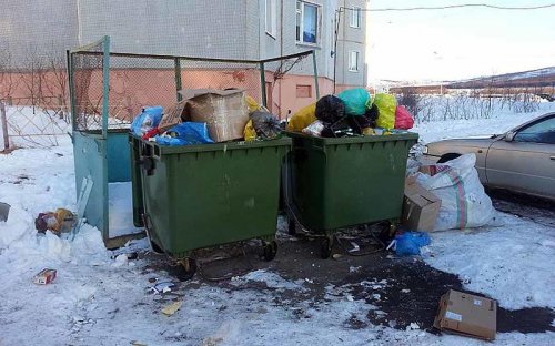 В Самарской области собаку-поводыря выбросили в мусорный бак