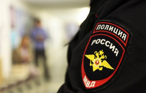 В Шереметьево задержана британская учительница из-за попытки провезти гранату