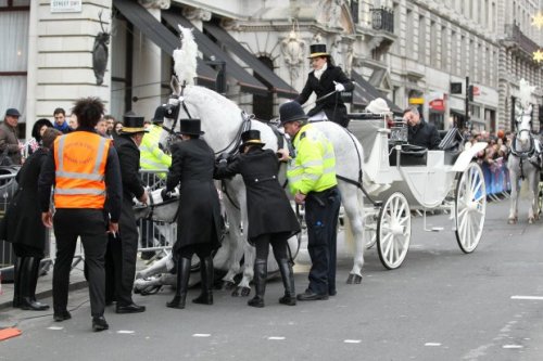 Лошадь упала во время парада в Лондоне
