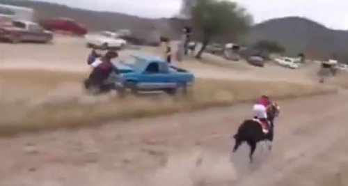 В Чили на полной скорости лошадь с наездником врезалась в автомобиль