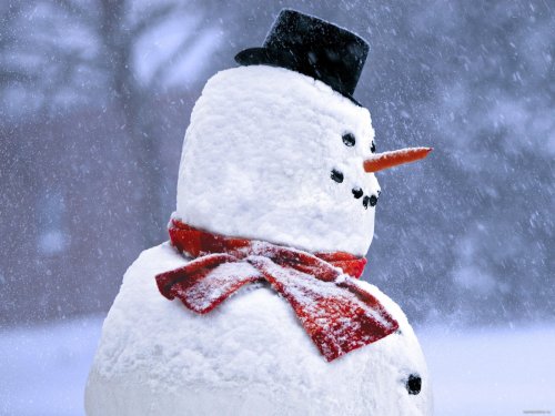 Снеговик нарушил ПДД в Петербурге