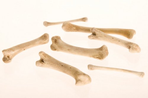 В музее на Канарах демонстрируют скульптуру из человеческих костей