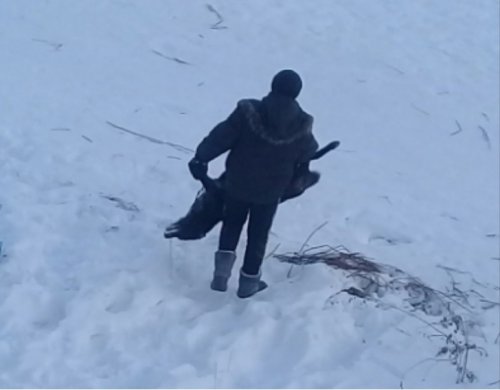 В Пермском крае дети катались с горки в компании обледеневшего трупа собаки