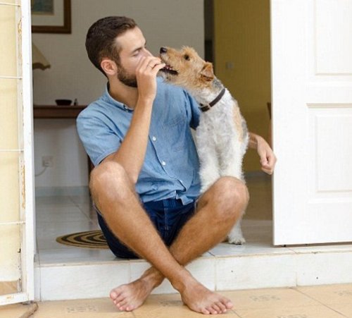 Эксперты: Собака на первом свидании поможет влюбить в себя девушку
