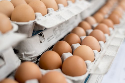 Ученые: куриные яйца способствуют ожирению