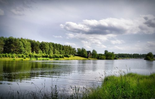 Пользователи Сети требуют прекратить сброс химикатов в реку Клязьма