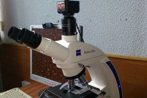 В Америке ученые представили новый микроскоп для наблюдения клеток организма в 3D