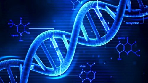 В Австралии ученые нашли новую форму ДНК