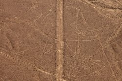 Свыше 50 древних геоглифов были обнаружены в Перу
