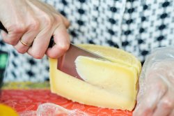 Холдинг «АгриВолга» поможет государству бороться с сырным фальсификатом