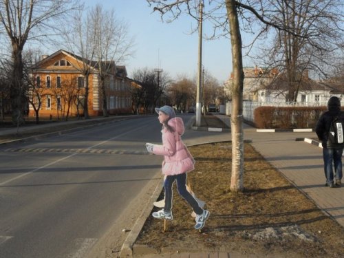 Жители Ростова опасаются муляжей детей на дорогах