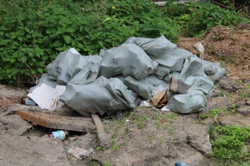 «Свалка вместо памятника природы»: В Нижнем Новгороде пожаловались на мусор на территории заповедника