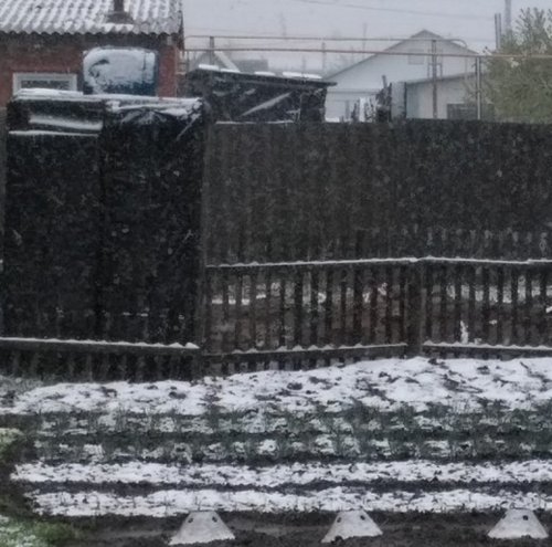 «Никакого лета и осени»: В Омской области выпал снег