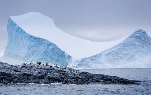 Доисторический лед из Антарктиды поможет разгадать загадку ледниковых периодов